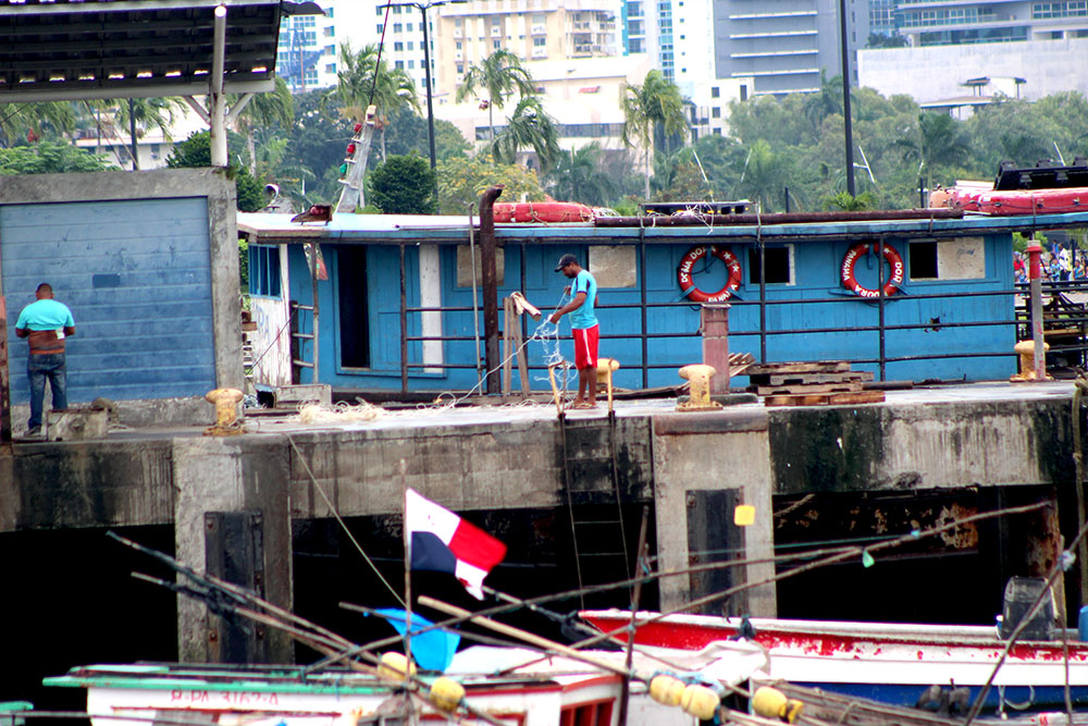Panama Fish Market